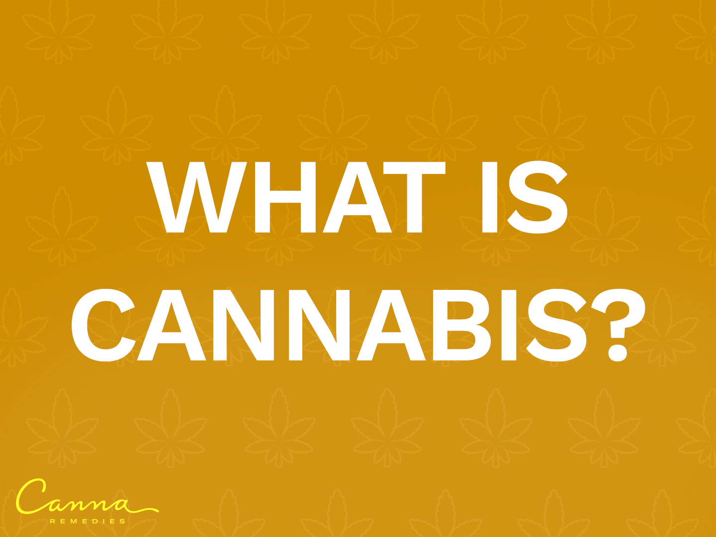 what-is-cannabis
