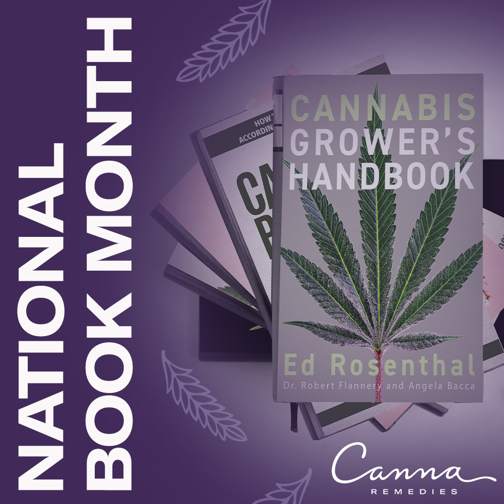 It’s National Book Month! Here are 7 Books to Help You Learn More About Cannabis