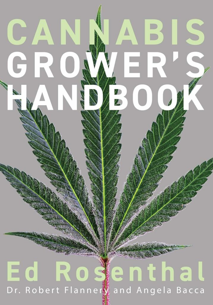 It’s National Book Month! Here are 7 Books to Help You Learn More About Cannabis