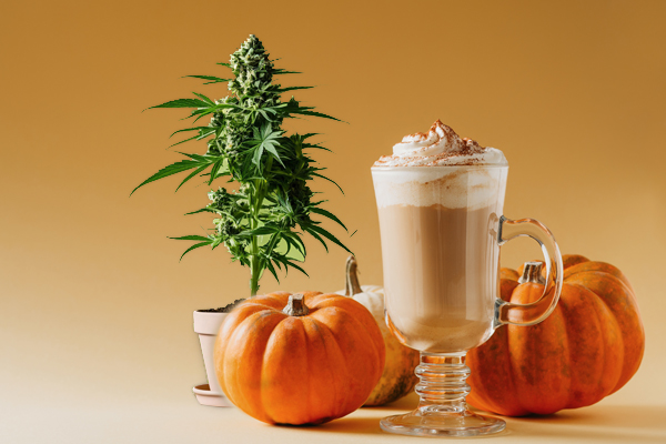 Keep warm this autumn with these 5 seasonal beverage and cannabis combinations