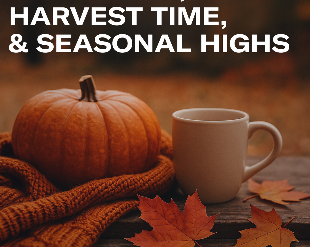Cozy Vibes, Harvest Time, and Seasonal Highs