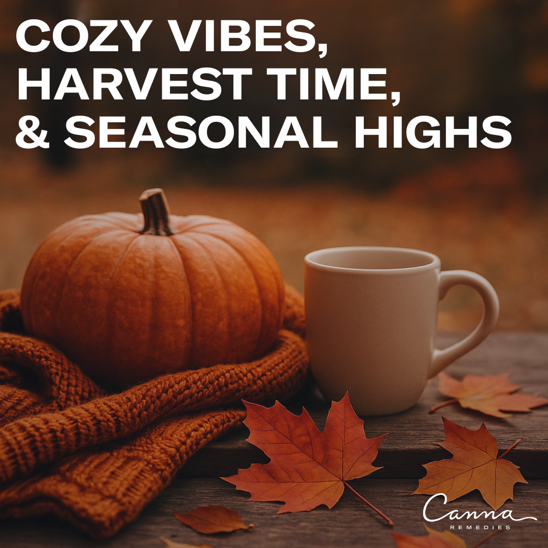 Cozy Vibes, Harvest Time, and Seasonal Highs